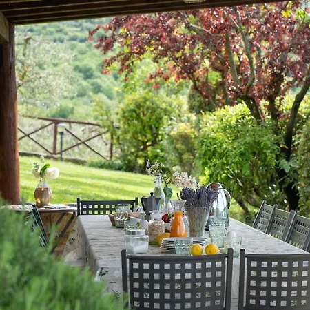 Castelluccio Farm stay Castelluccio (Arezzo)